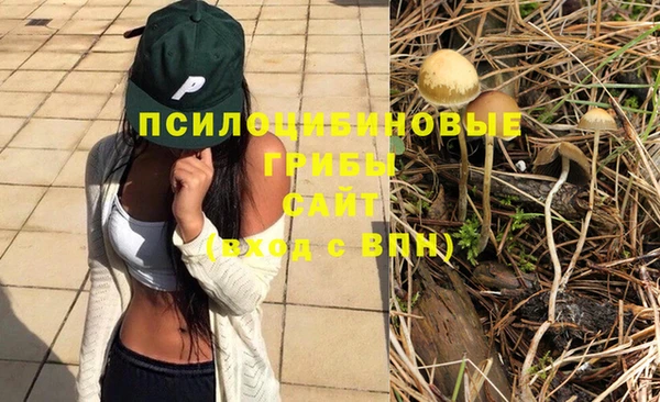 герыч Арсеньев