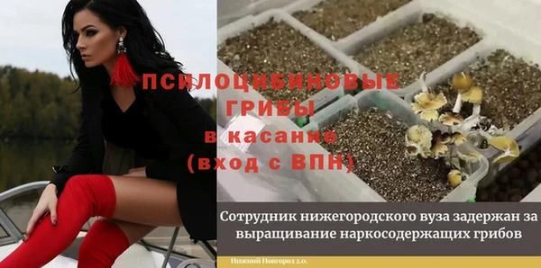 марки nbome Аркадак