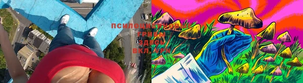 марки nbome Аркадак