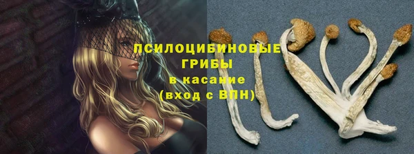 PSILOCYBIN Ростов